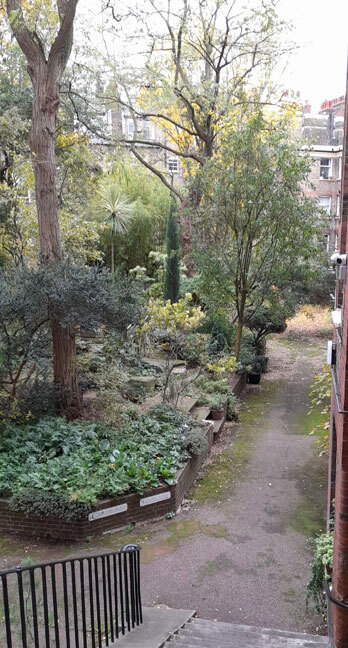 The garden in the central courtyard